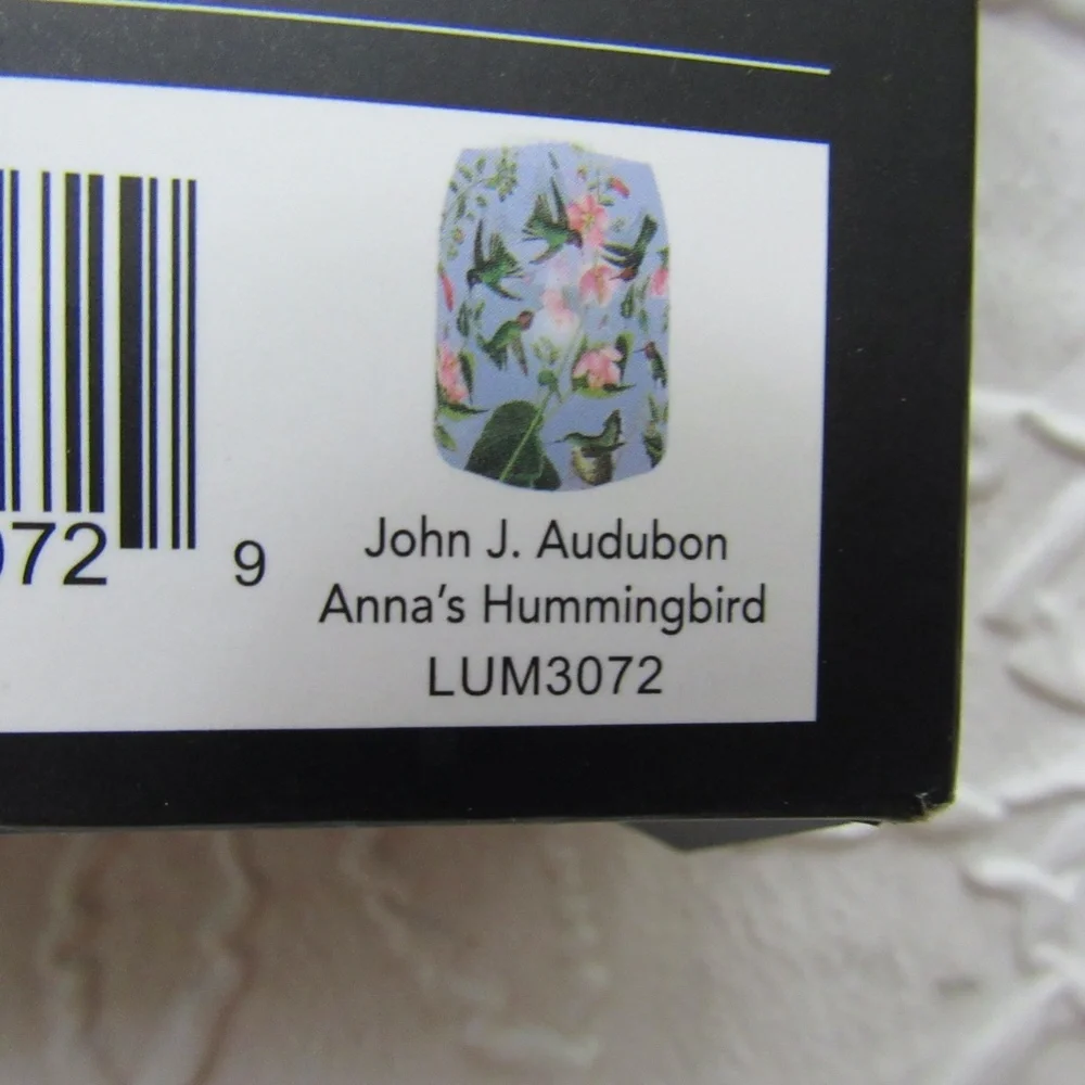 2 Modgy Luminaries Lanterns Floating LED Tealights Reuseable Audubon Hummingbird